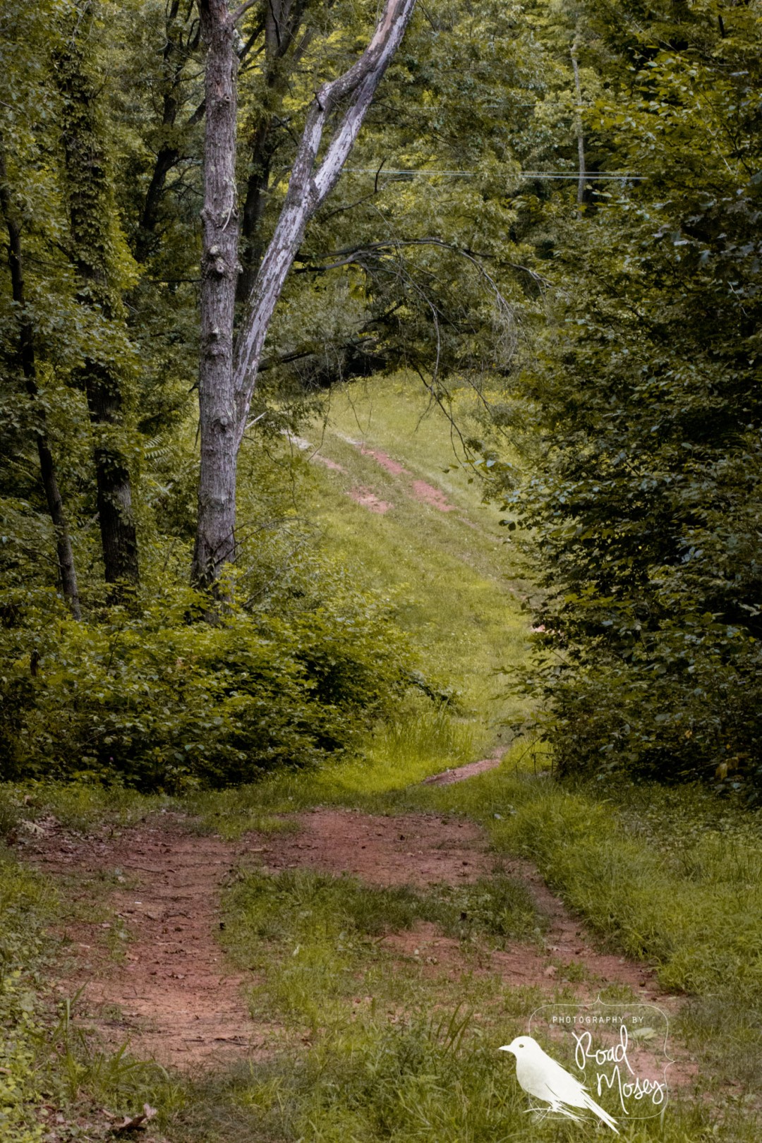 Summer Photo Gallery The Broughton Foundation